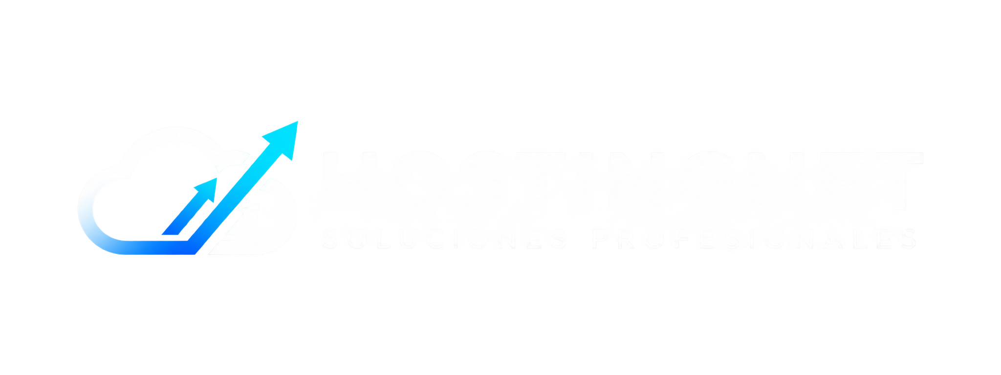 HostingNet